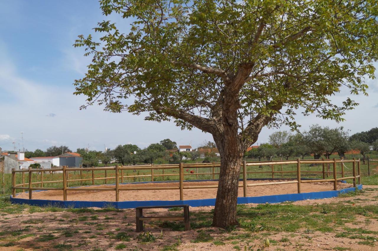 Tapada do Chafariz Bed & Breakfast Estremoz Bagian luar foto